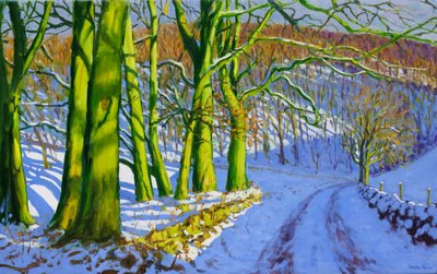 Alberi verdi, inverno; Dam Lane; Derbyshire da Andrew Macara